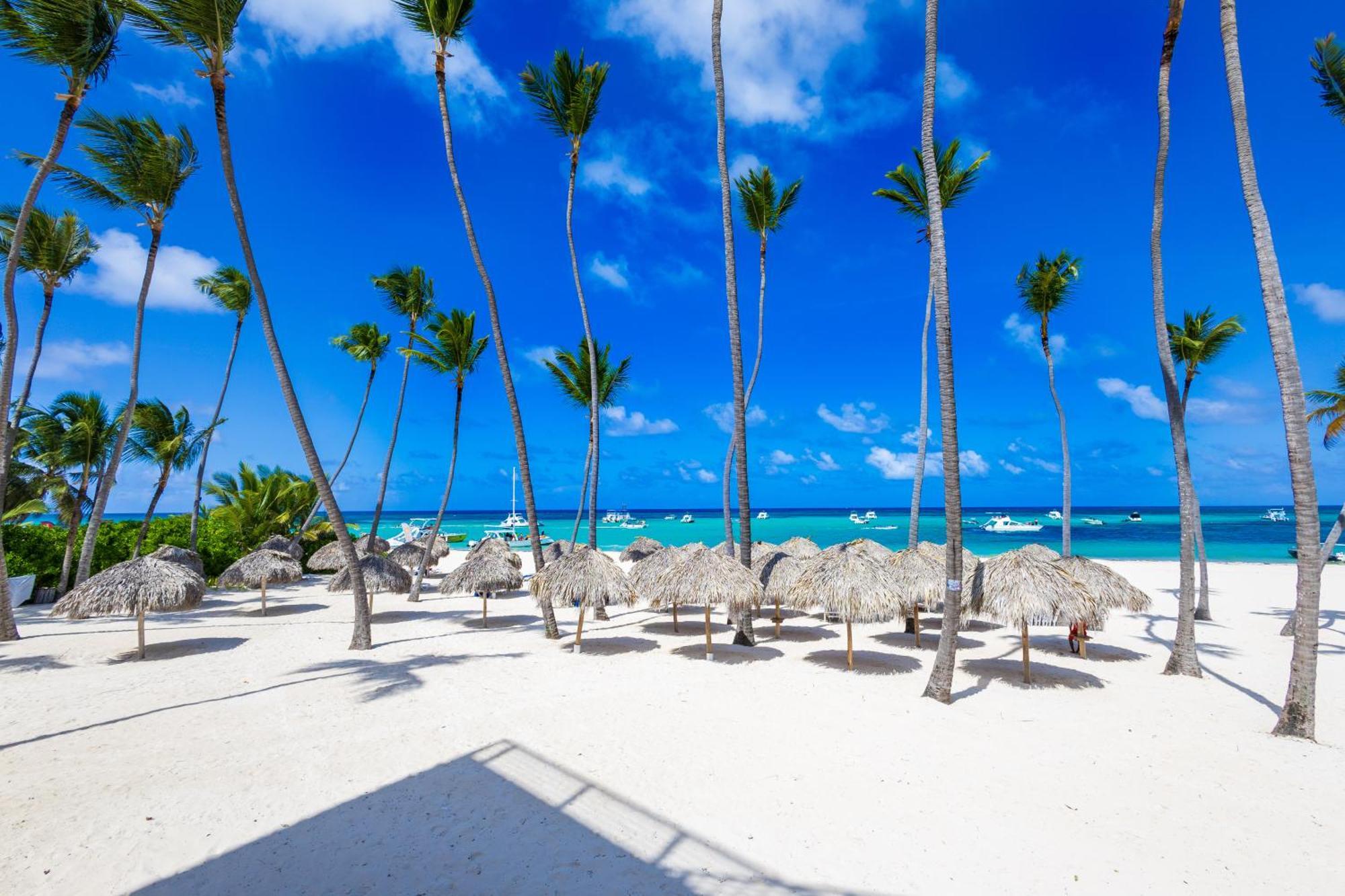 Prime Ocean View Punta Cana Apartments - 3-Bedroom Getaway With Private Terrace On Bavaro Beach Zewnętrze zdjęcie